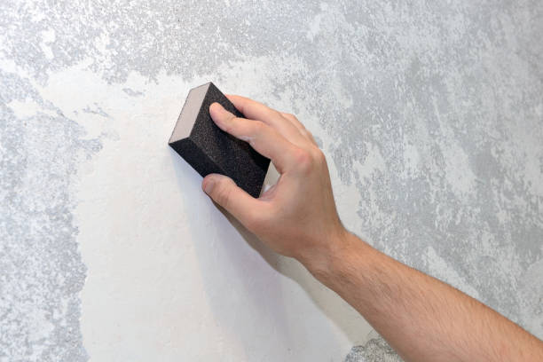 Best Mold Documentation for Insurance Claims  in Arcadia, SC