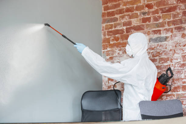  Arcadia, SC Mold Removal Pros