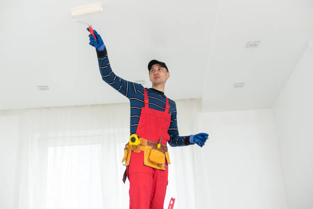 Best Residential Mold Inspection & Testing  in Arcadia, SC