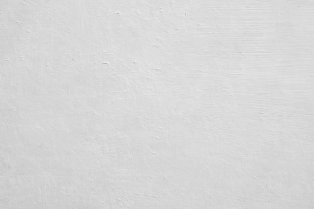 Best Mold Prevention Services  in Arcadia, SC