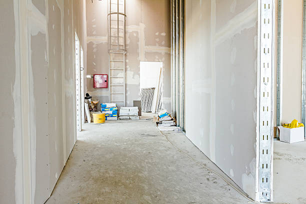 Best Commercial Mold Inspection  in Arcadia, SC