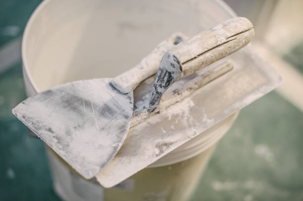 Best Forensic Mold Investigation  in Arcadia, SC